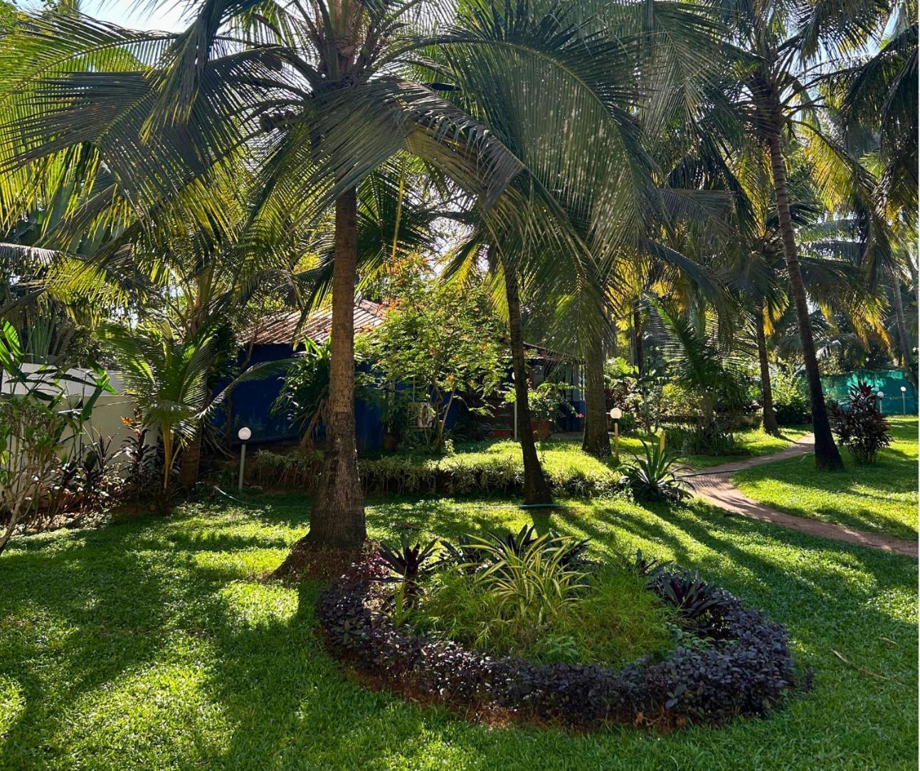 Jungle Hut-Annabelle'S Beach Apartments At Bernard Simao,Calangute,Goa 坎多林 外观 照片
