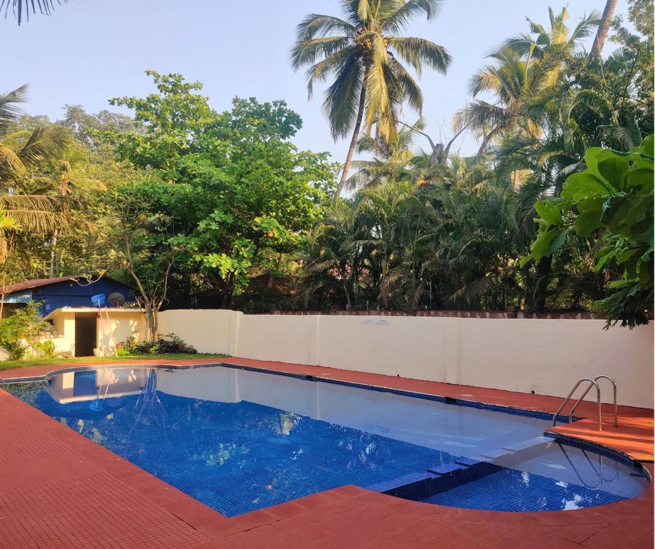 Jungle Hut-Annabelle'S Beach Apartments At Bernard Simao,Calangute,Goa 坎多林 外观 照片