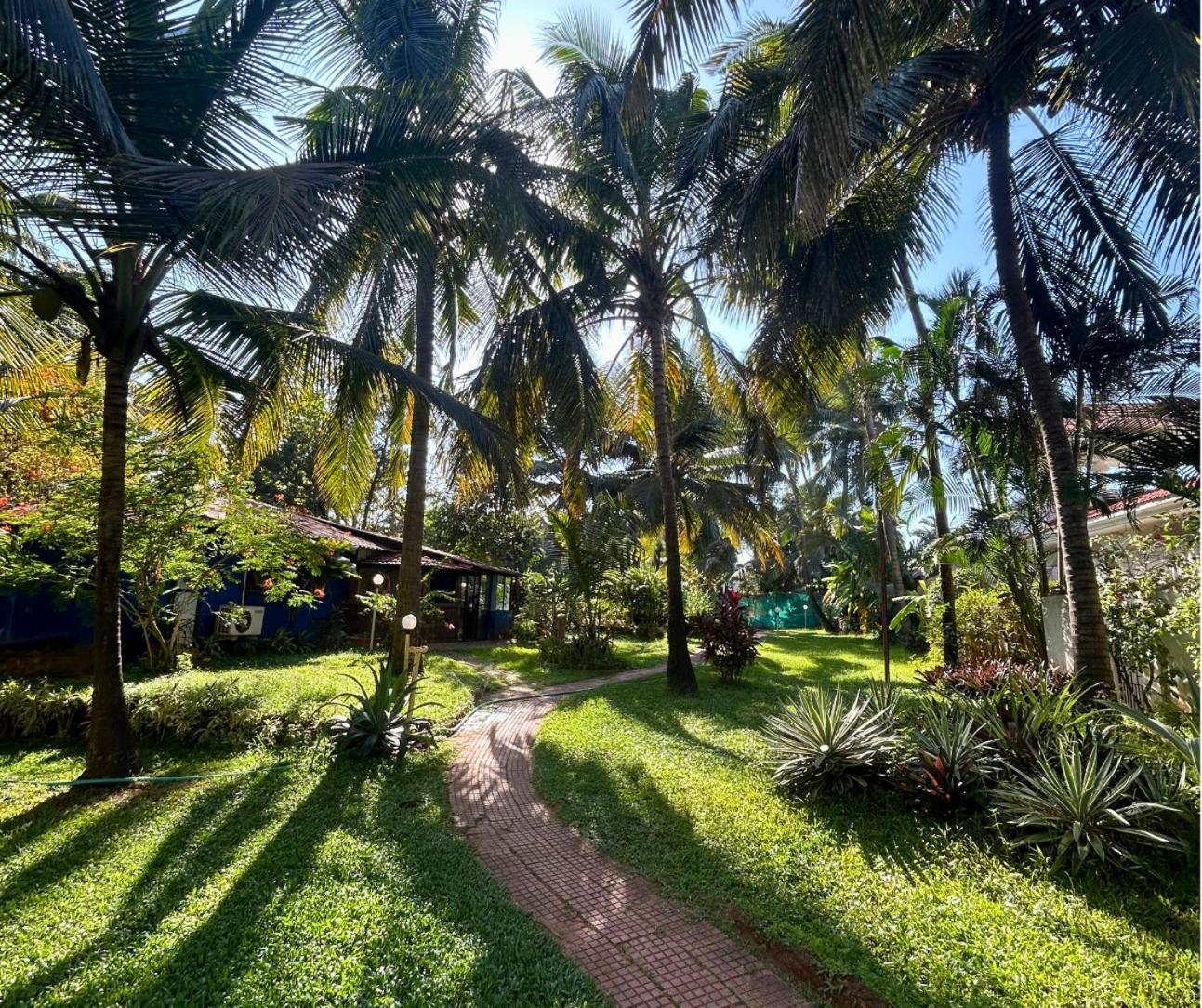 Jungle Hut-Annabelle'S Beach Apartments At Bernard Simao,Calangute,Goa 坎多林 外观 照片